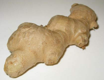 Zázvorovník lékařský - Zingiber officinale
